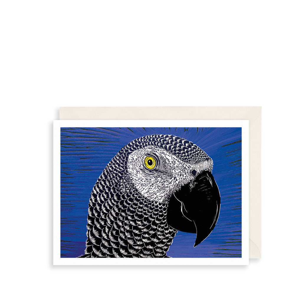 Blue Parrot Greetings Card The Art File
