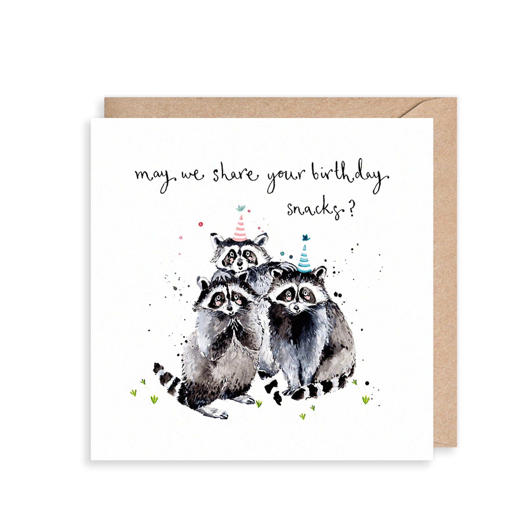 Raccoons Snacks Birthday Card