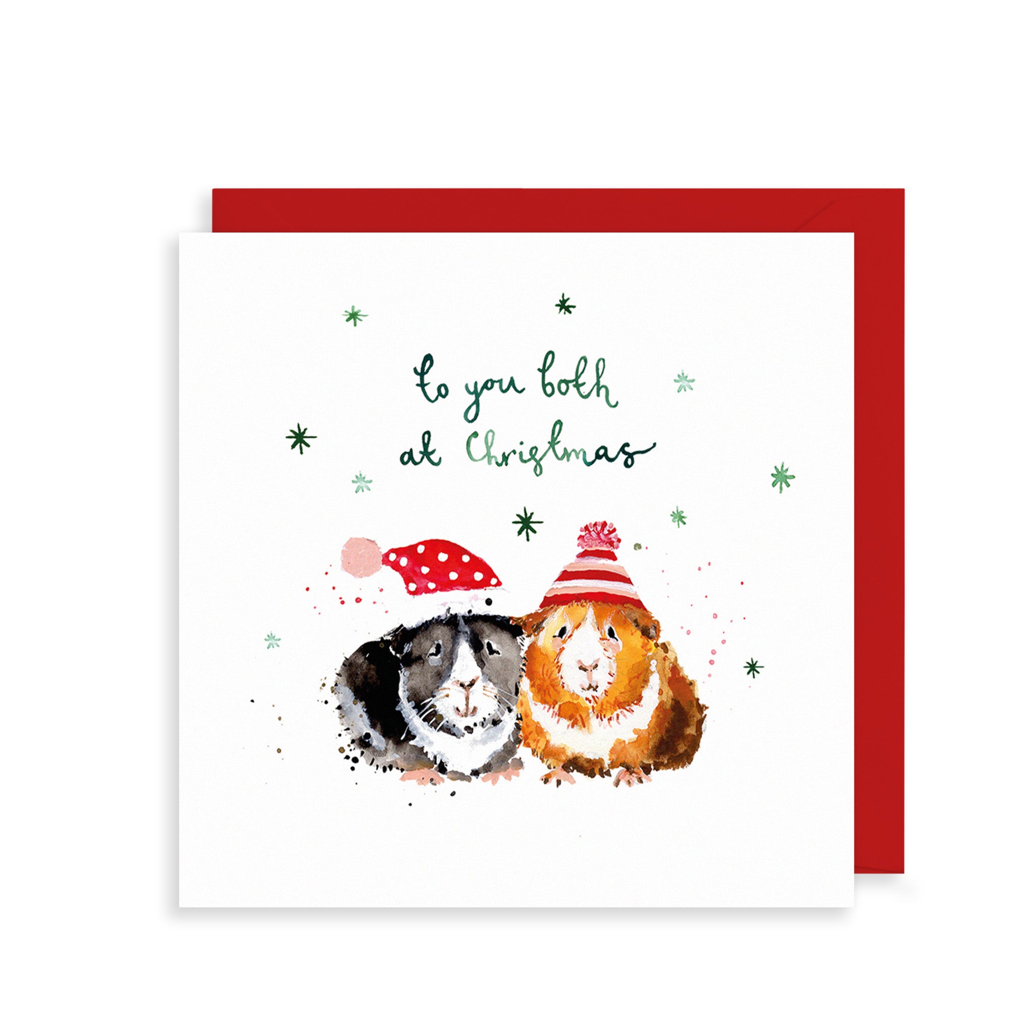 To You Both Guinea Pigs Christmas Cards