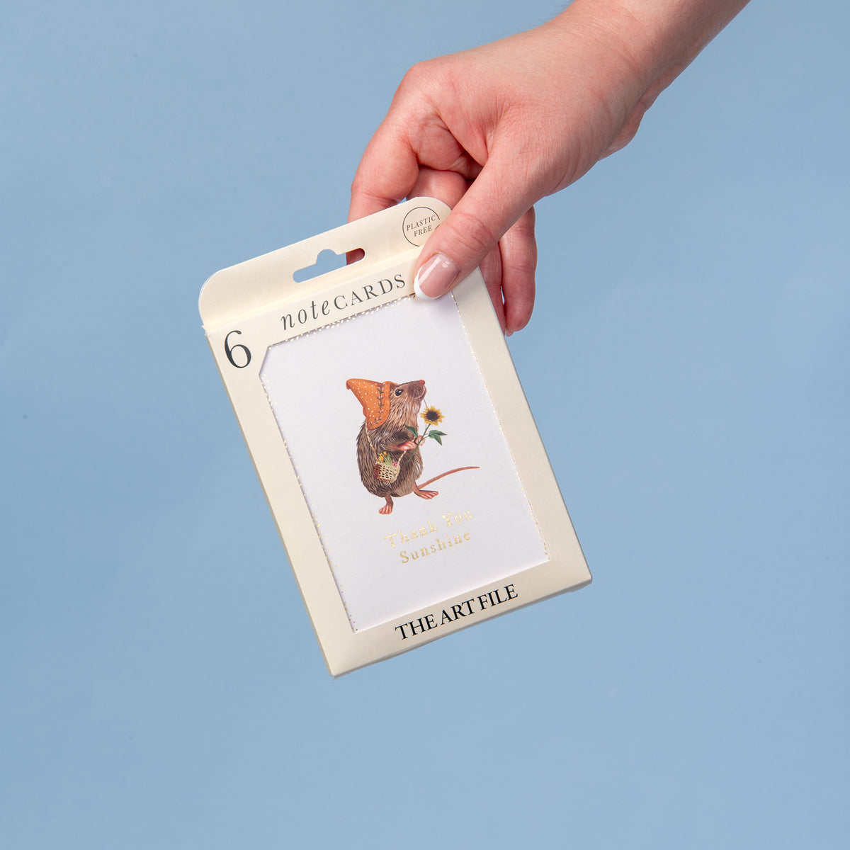 6 Notecard Pack - Thank You Sunshine Mouse | NCP06