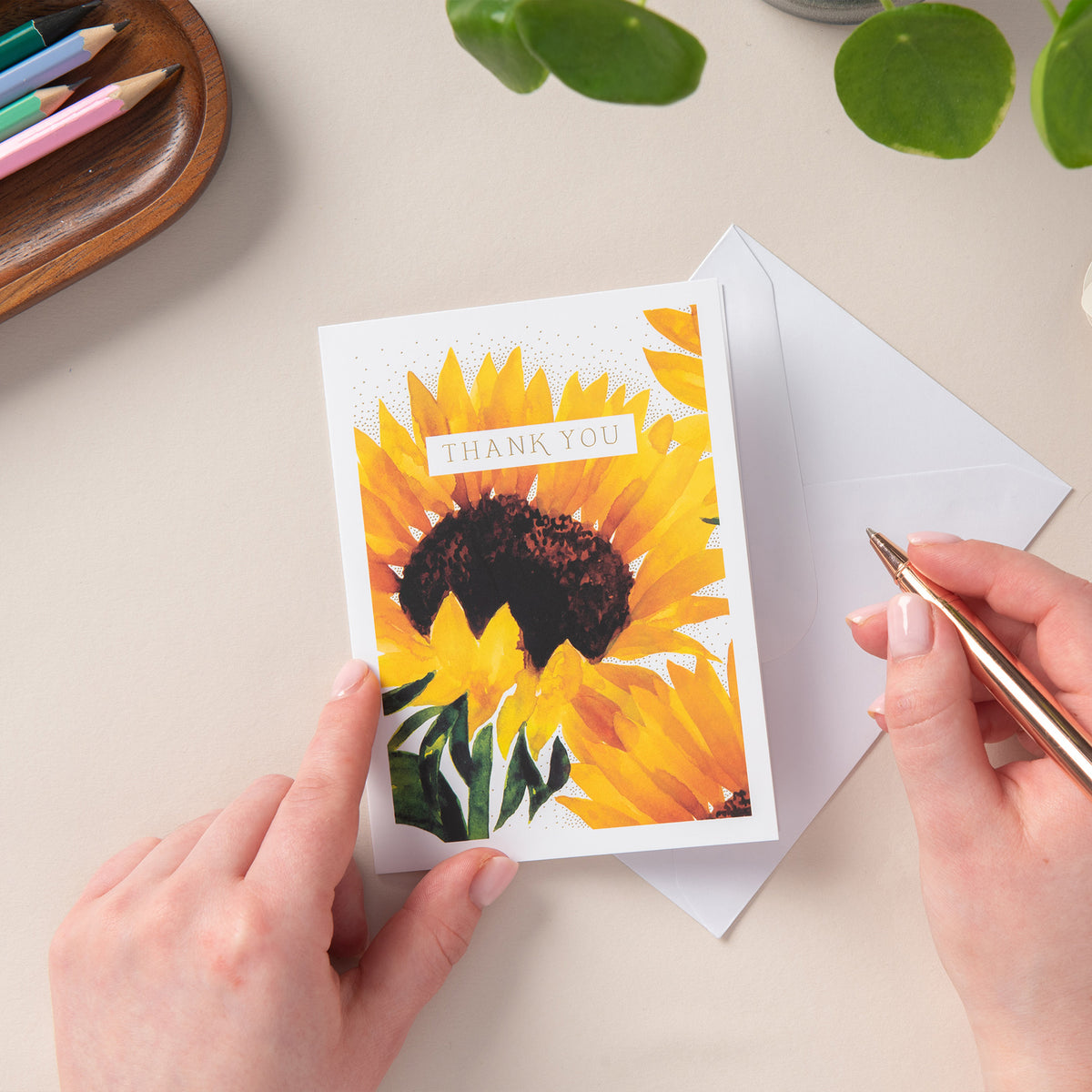 6 Notecard Pack - Thank You Sunflowers | NCP10