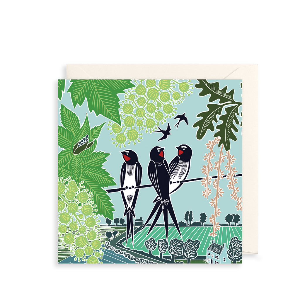 Swallows Greetings Card The Art File