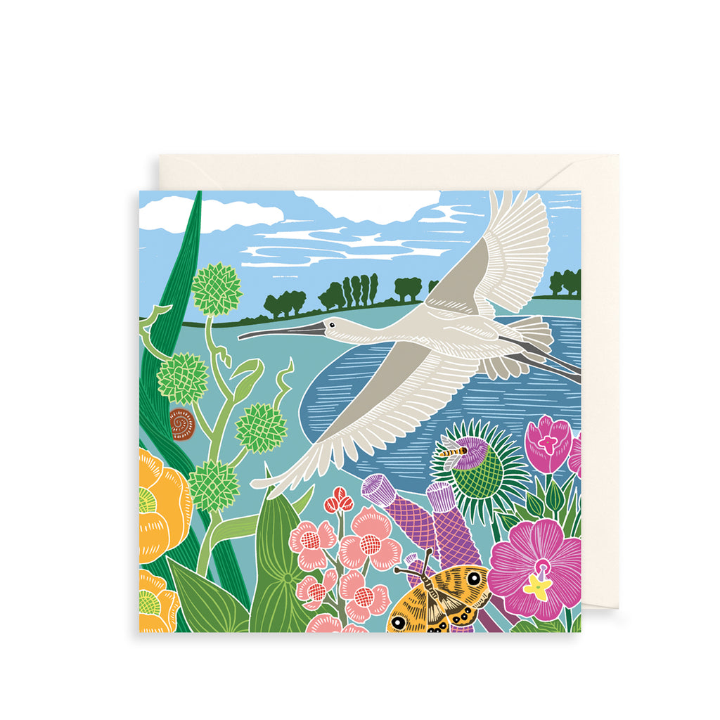 Water Heron Greetings Card The Art File