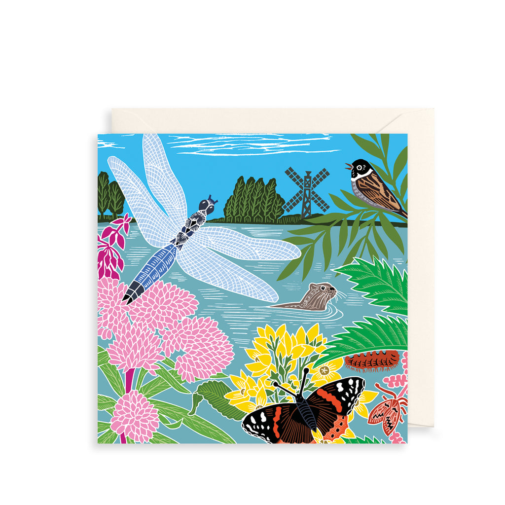Dragonfly Greetings Card The Art File
