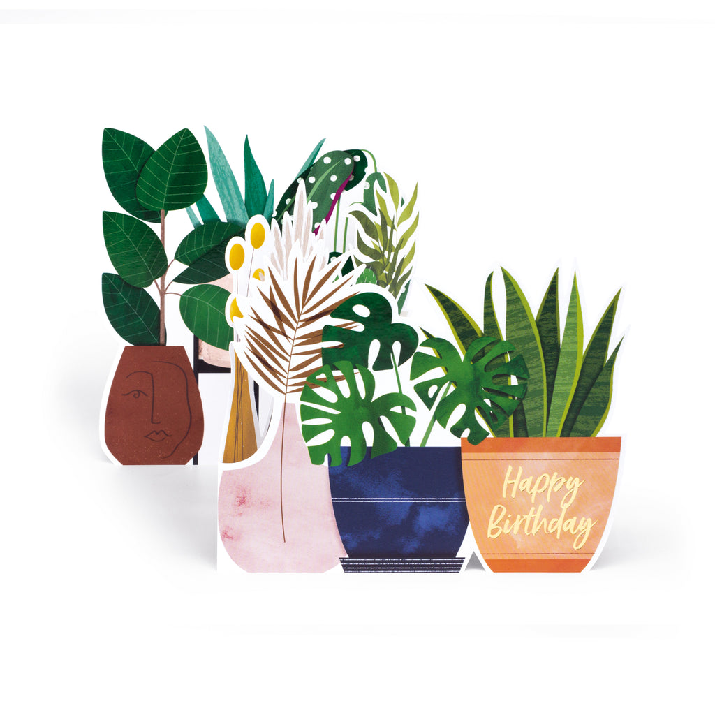 House Plants, 3D Greetings Card The Art File