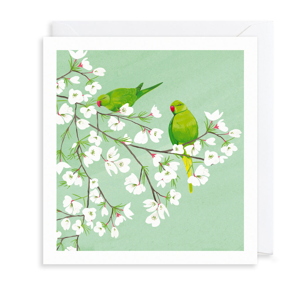 Green Parakeets Greetings Card The Art File