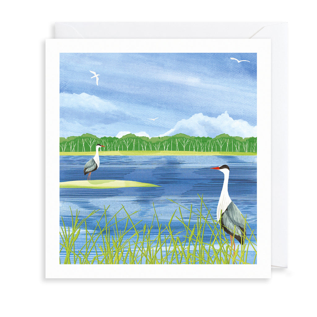 Herons & Water Greetings Card The Art File