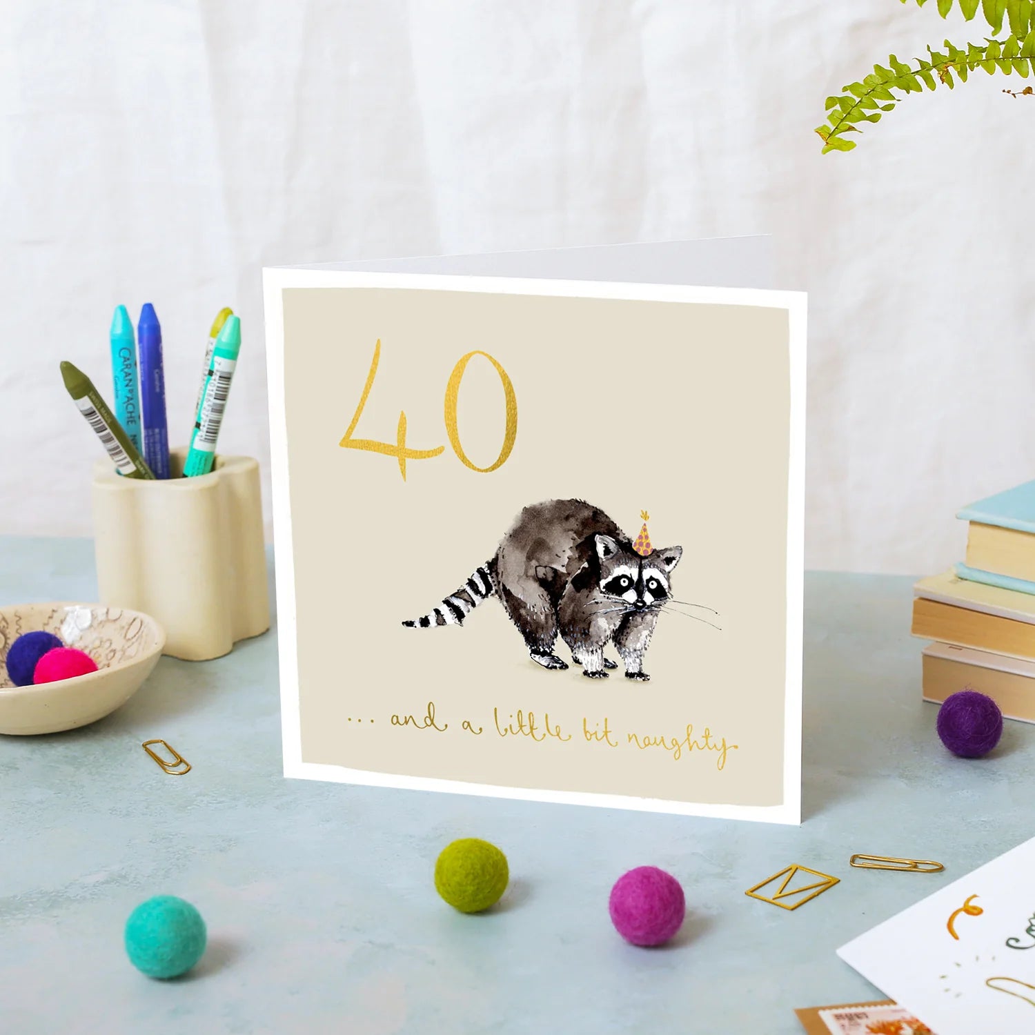 Raccoon 40th Birthday Card