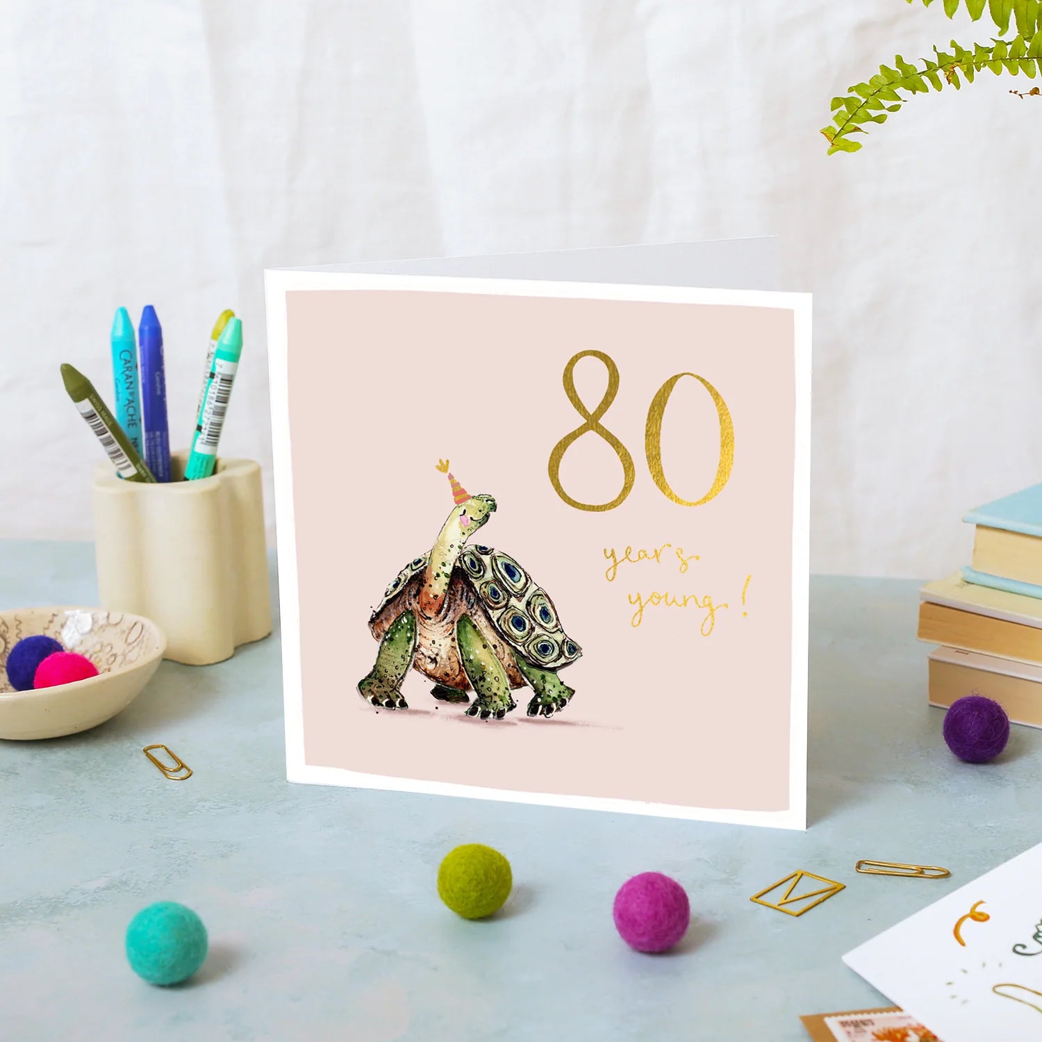 Tortoise 80th Birthday Card