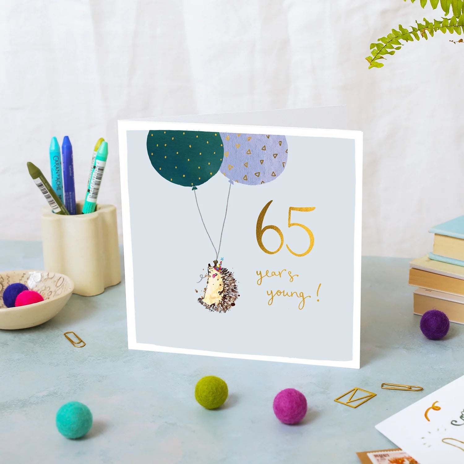 Hedgehog 65th Birthday Card