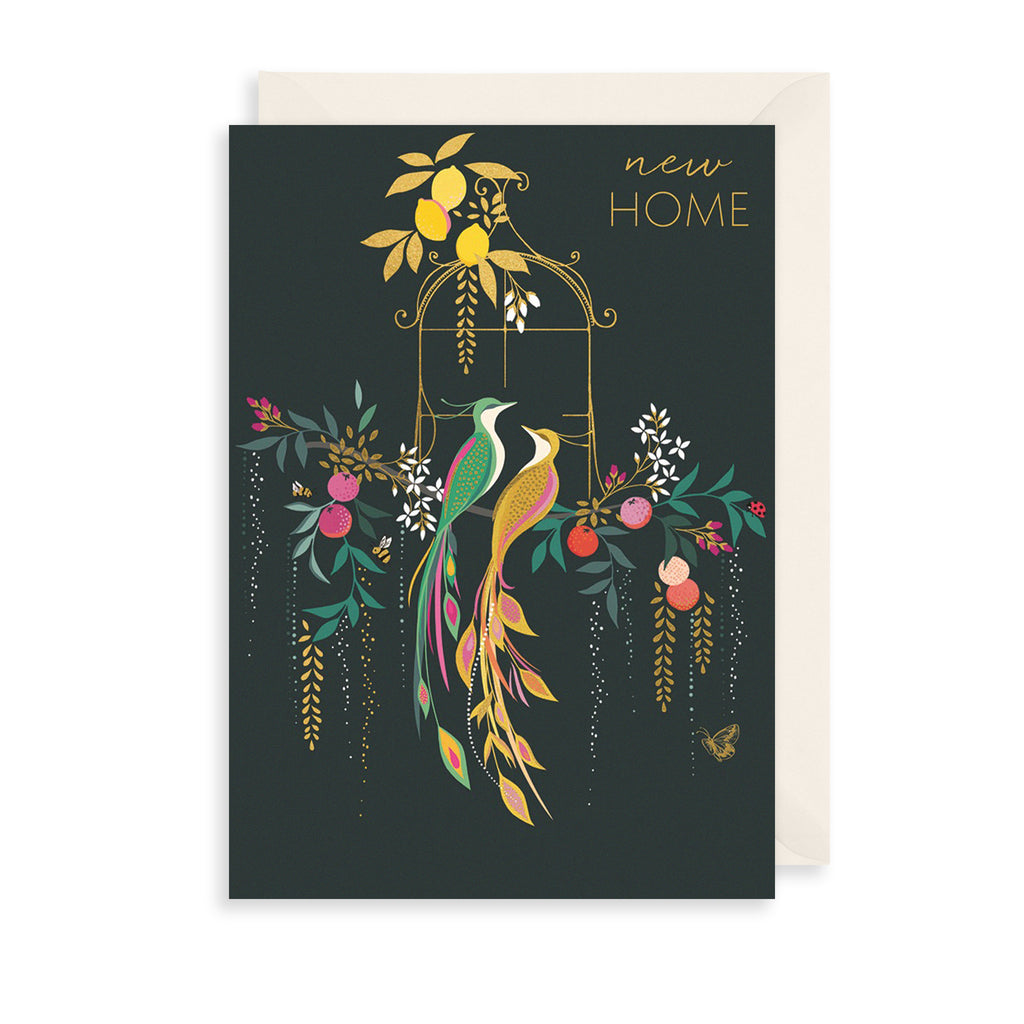 New Home Birds Greetings Card The Art File