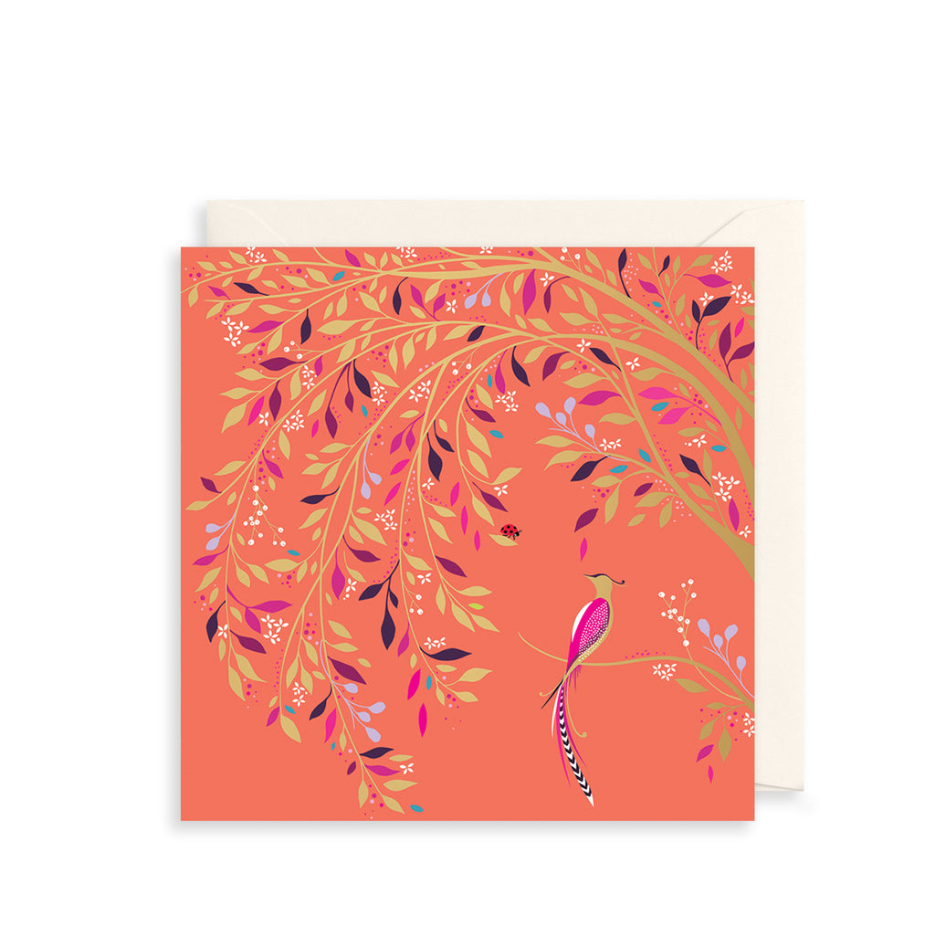 Orange Tree Greetings Card The Art File