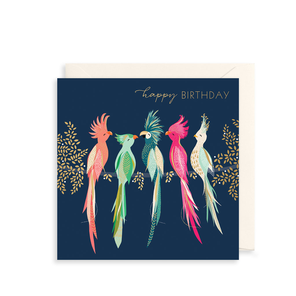 Exotic Birds Greetings Card The Art File