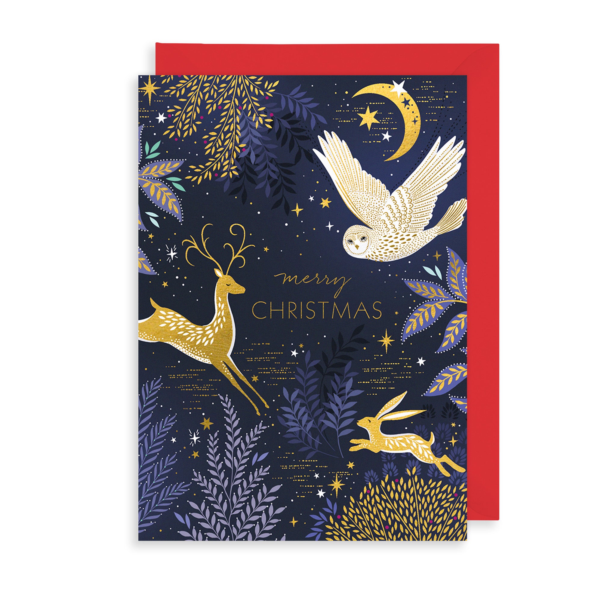 Midnight Wildlife Christmas Card