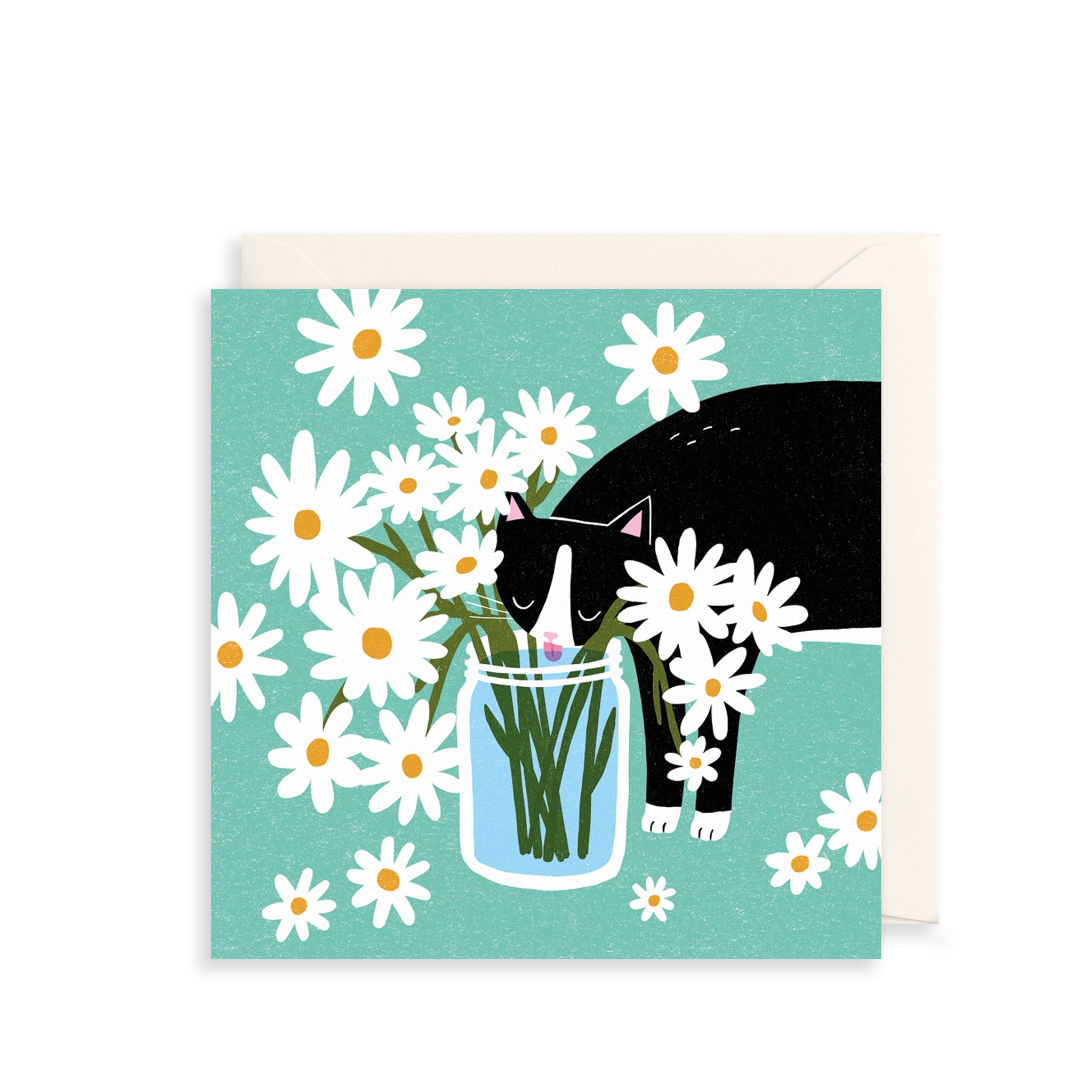 Black Cat & Vase of Daisies Everyday Card