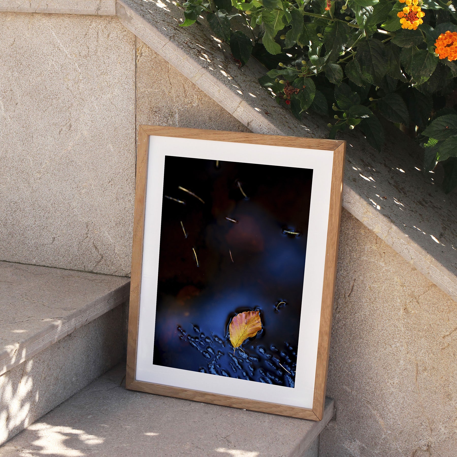 Framed photography art print featuring a fallen leaf floating on reflective water, perched on stone steps outside.