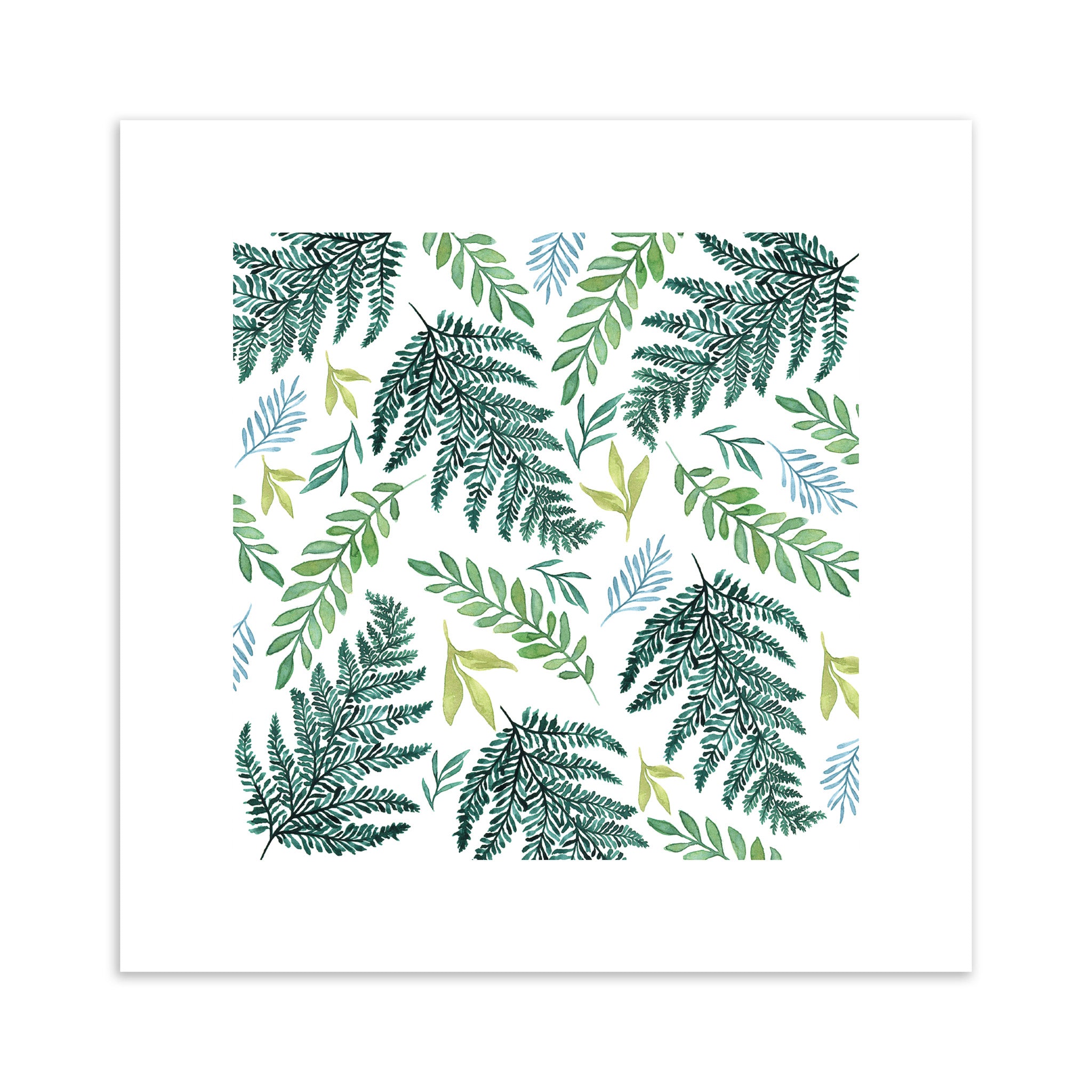 Fern leaf pattern on a white background.