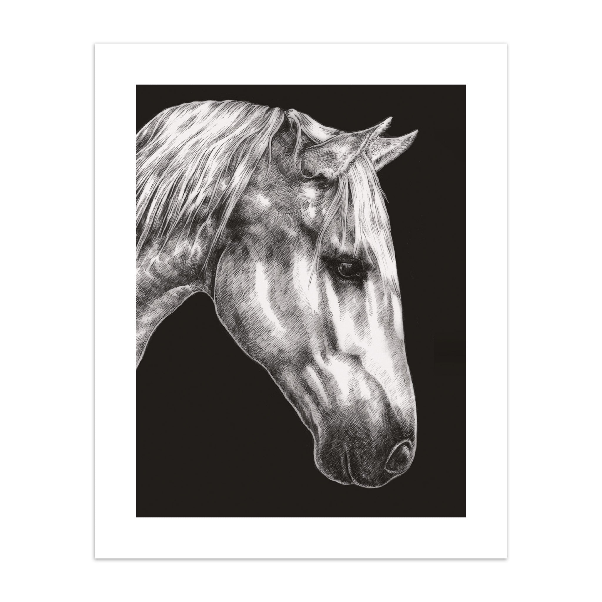 Art print of a black and white drawing of a horse's head on a black background.