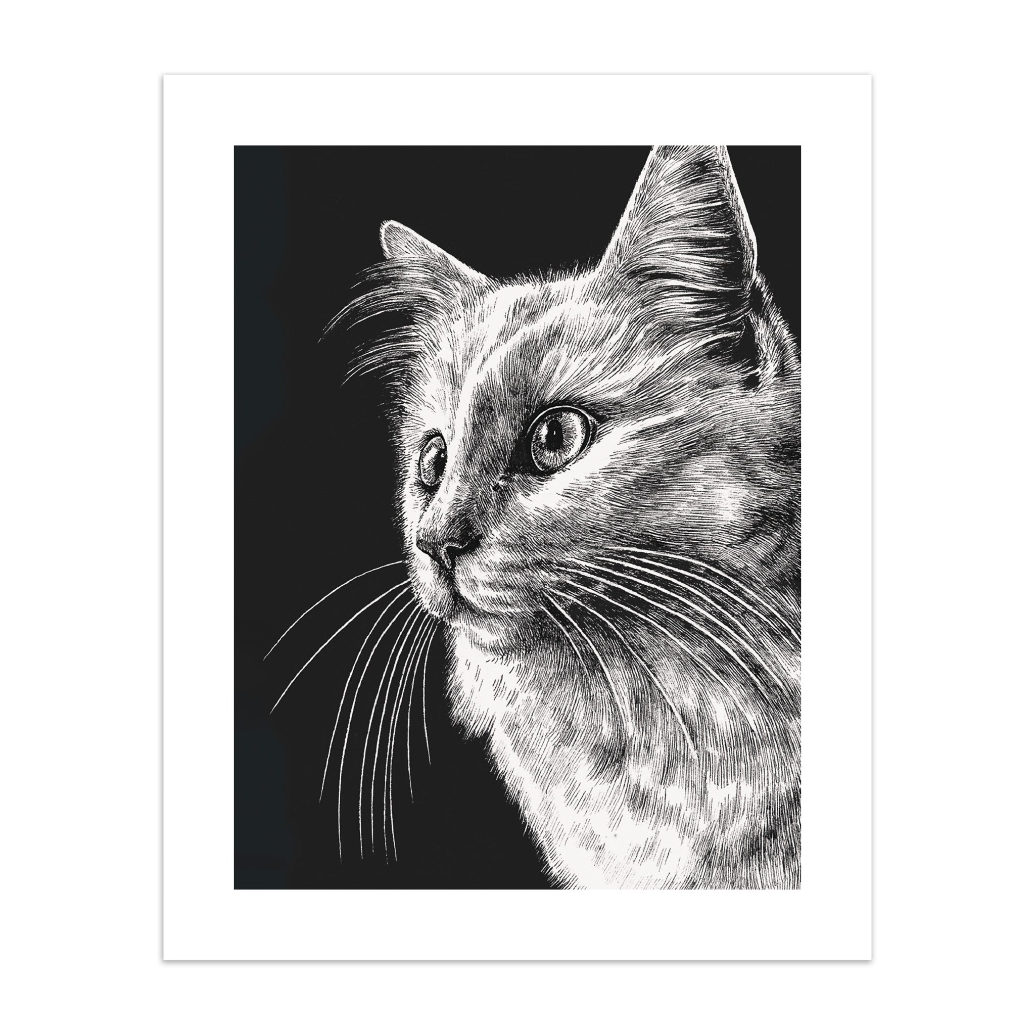 Art print of black and white illustration of a cat on a black background.