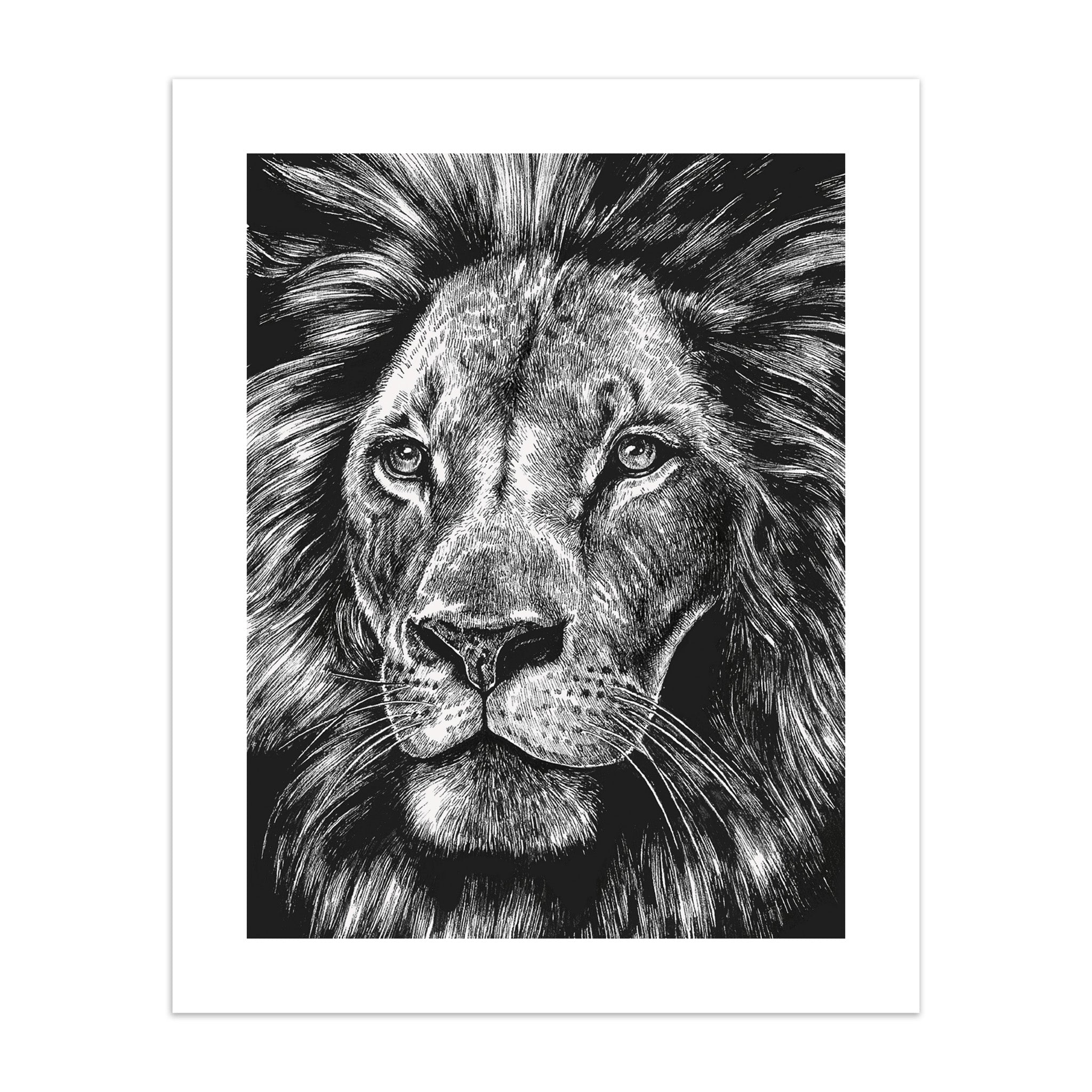 Art print of a black and white illustration of a lion's head on a white background.
