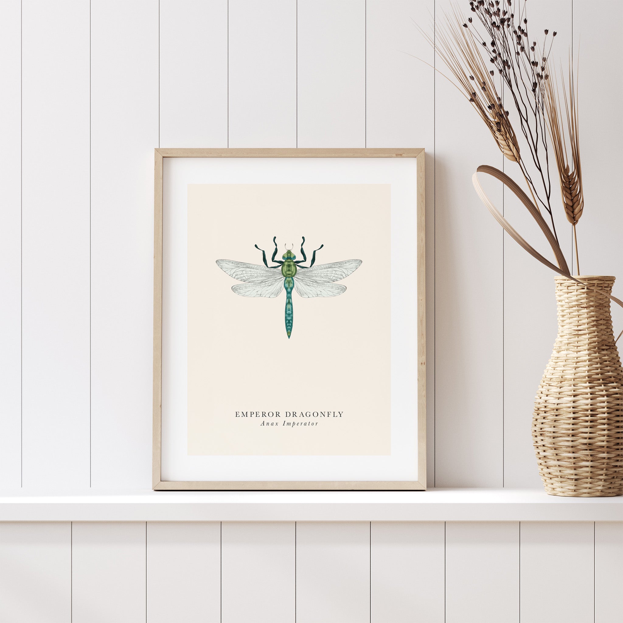 Framed artwork of an emperor dragonfly on a white wall with a woven vase.