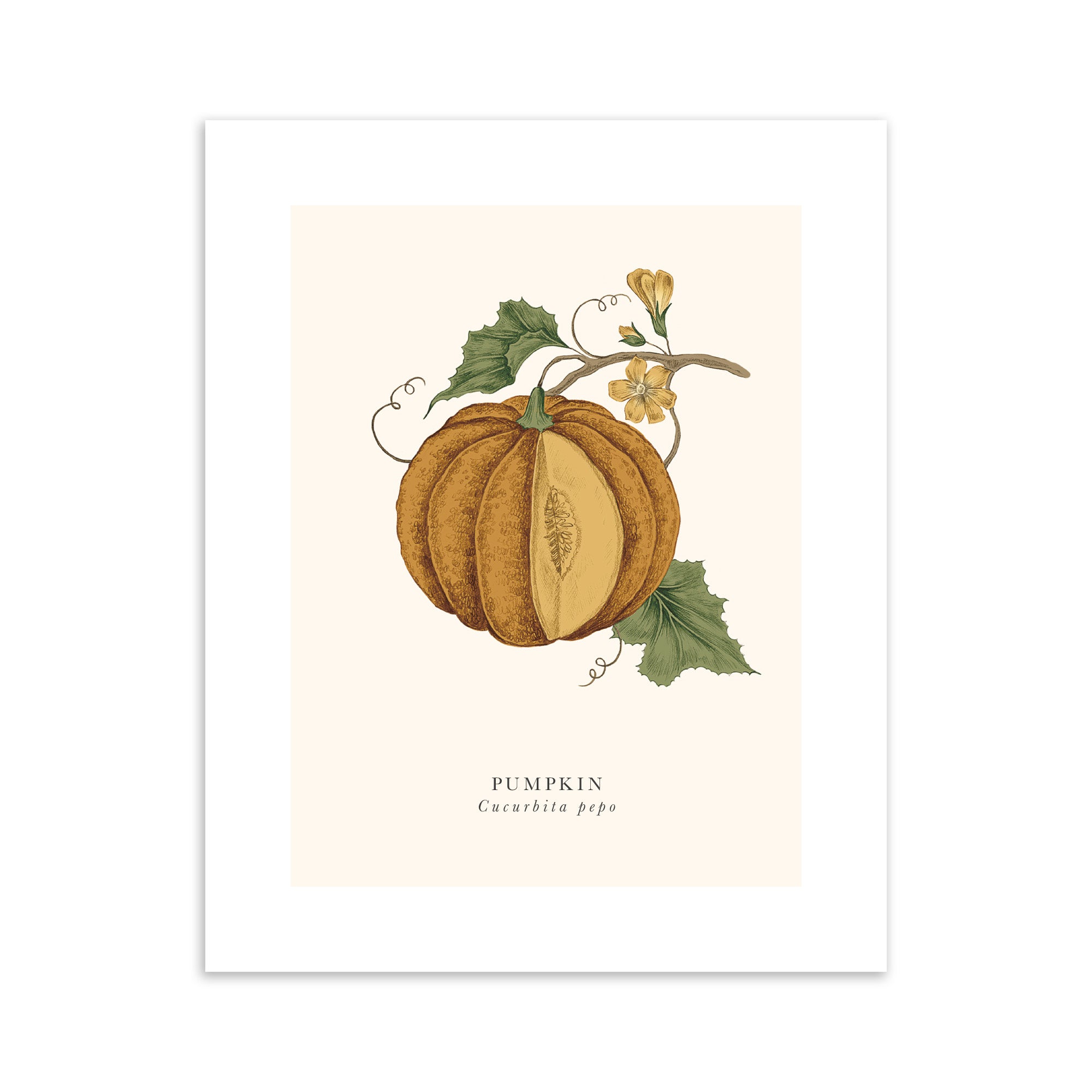 Illustration of a pumpkin with leaves and flowers on a beige background.