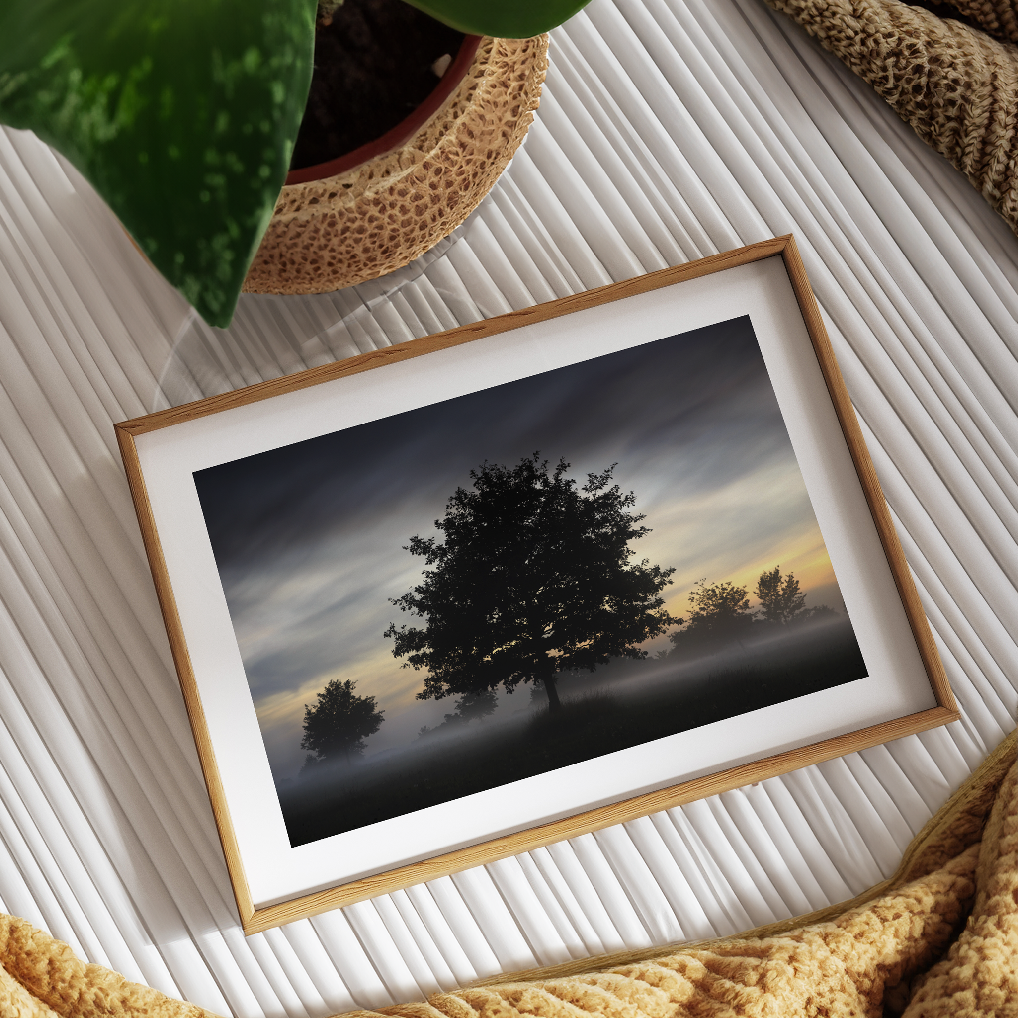 Framed photography art print of a tree silhouette against the sky when the sun is rising. Print is laid on a table next to a plant and a blanket.