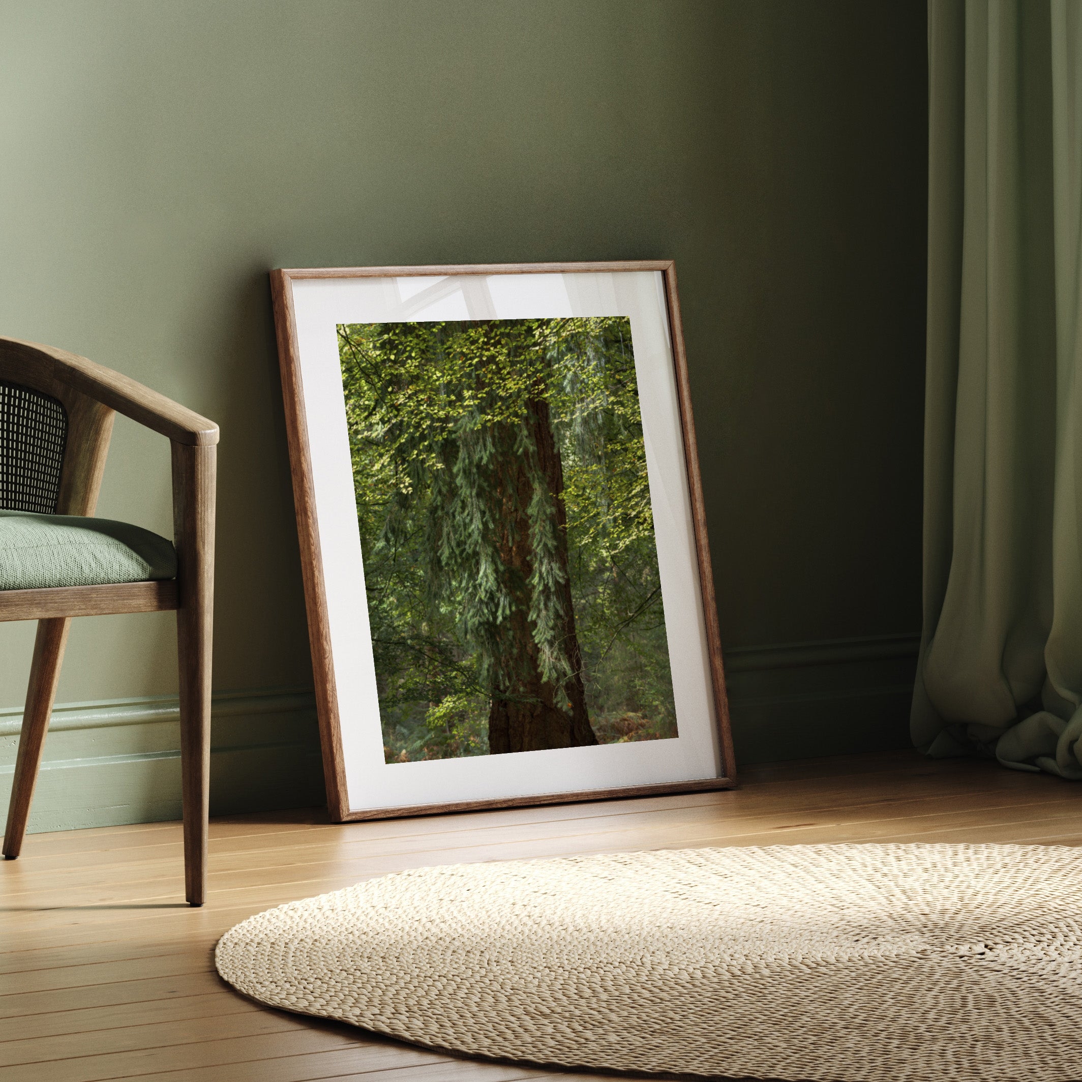 Framed photography nature print of a tree on a wall next to a chair and rug.