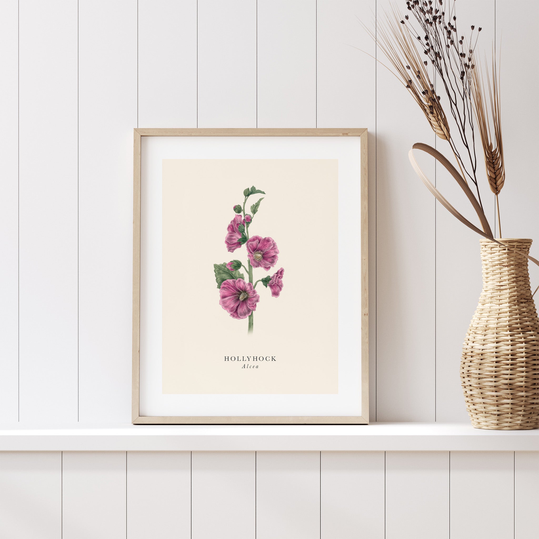 Framed botanical print of hollyhock flowers on a white wall with a woven vase.