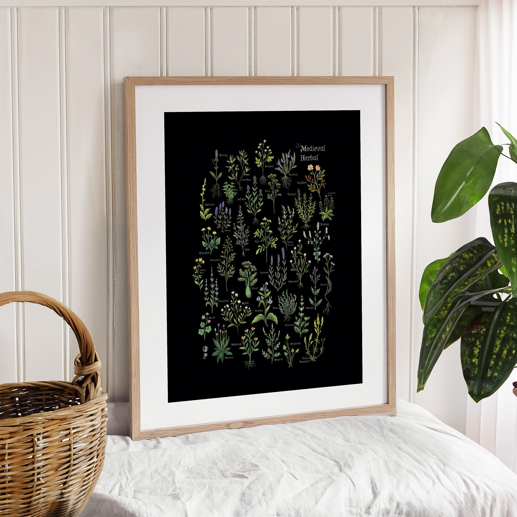 Medieval Herbal Art Print | Anna Stead Print | The Art File