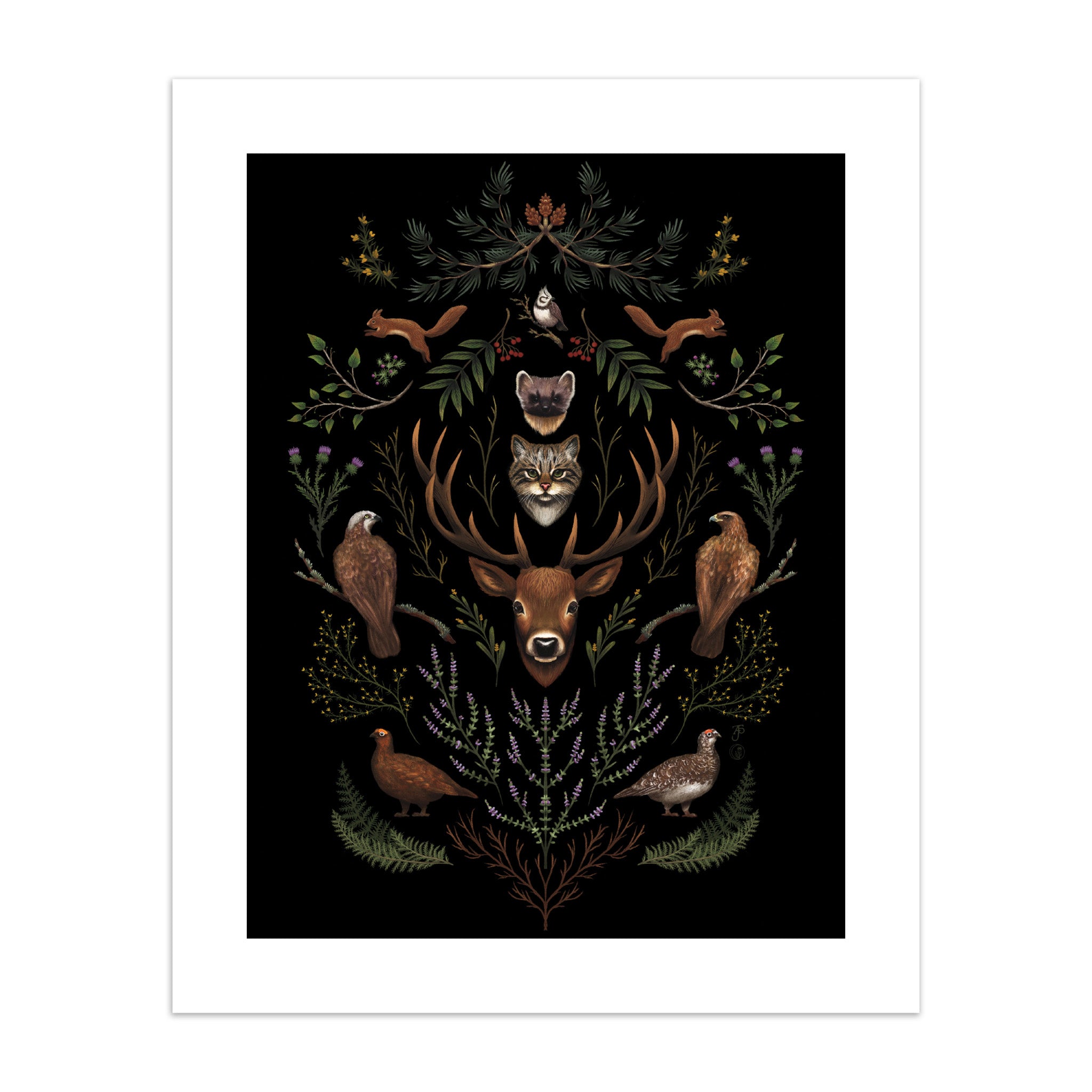 Art print featuring highland wildlife surrounded by botanicals on a black background.