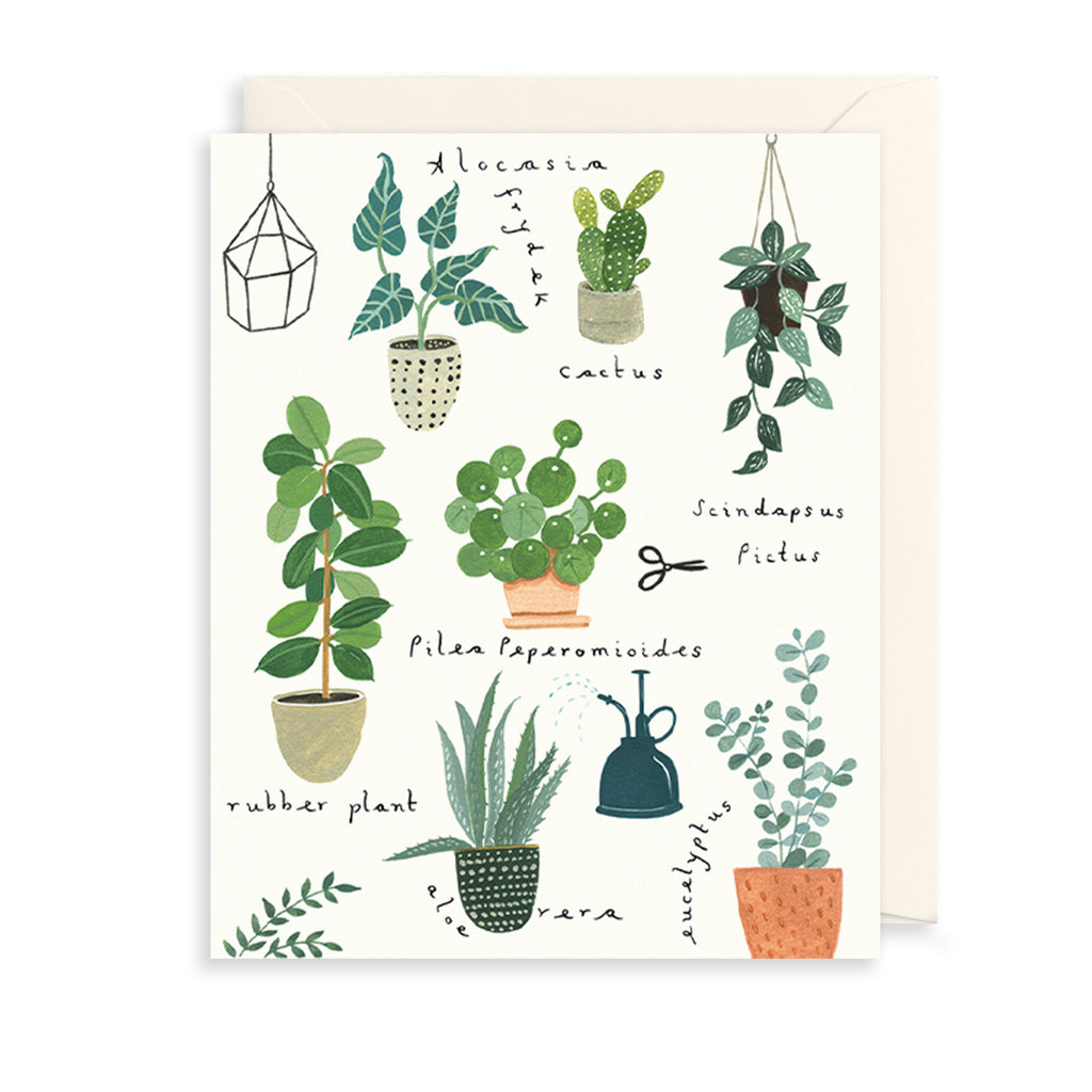 House Plants Greetings Card The Art File