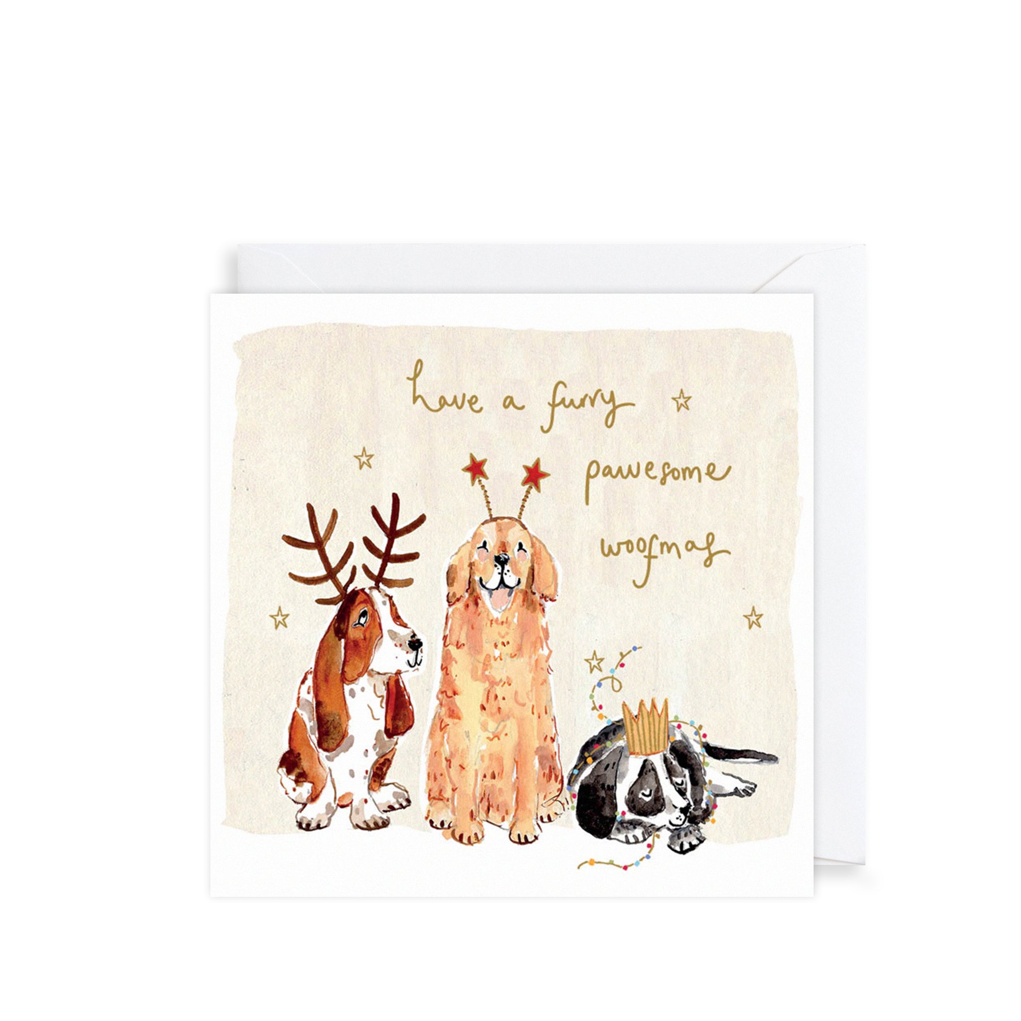 Cats & Dogs Christmas Card Wallet
