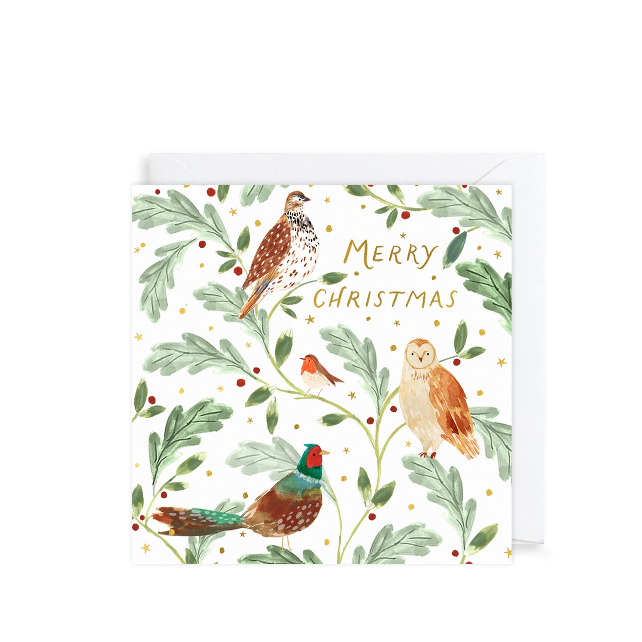 Festive Birds, Christmas Charity Cards