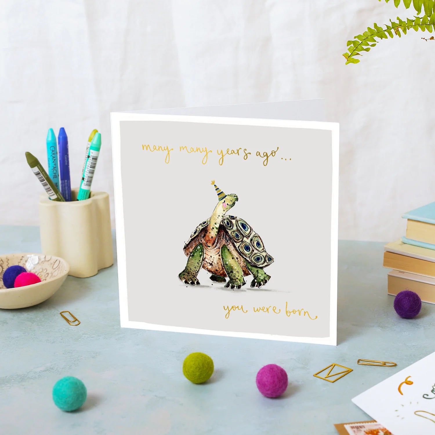 Tortoise Happy Birthday Card