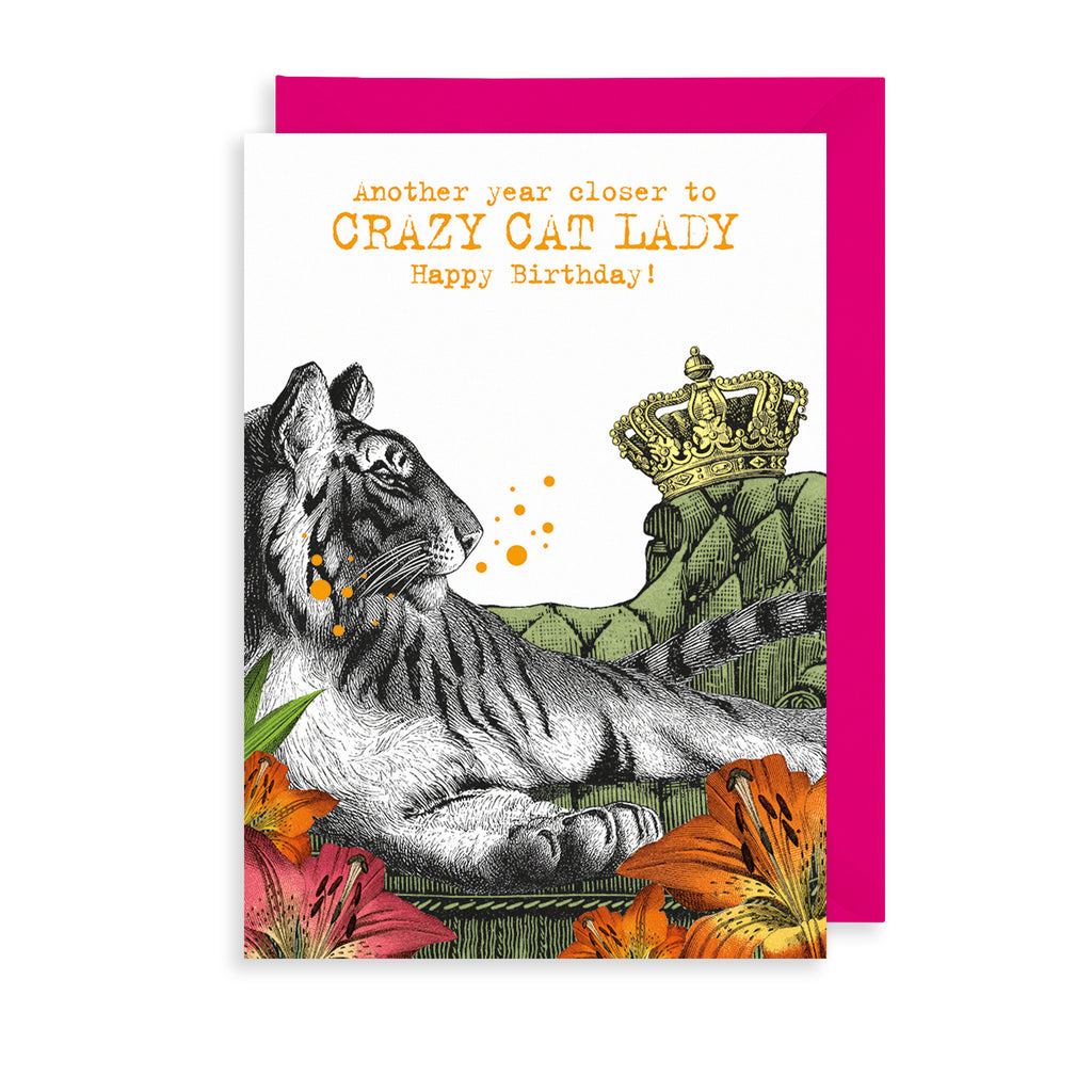 Crazy Cat Lady Greetings Card The Art File