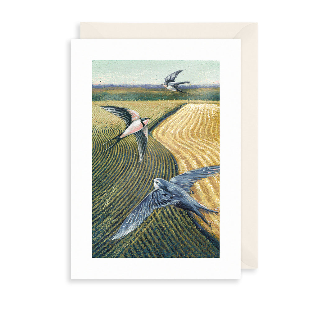 Swifts Greetings Card The Art File