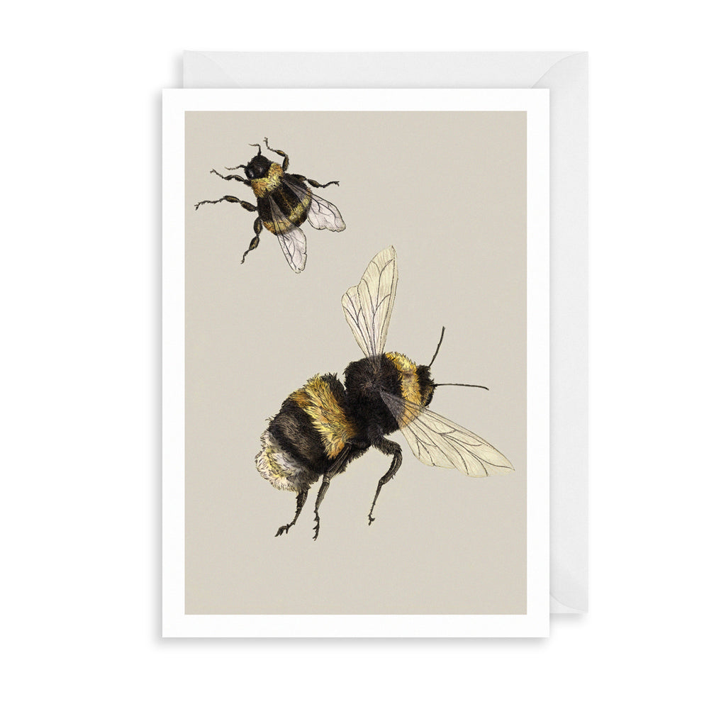 Bumble Bees Greetings Card The Art File