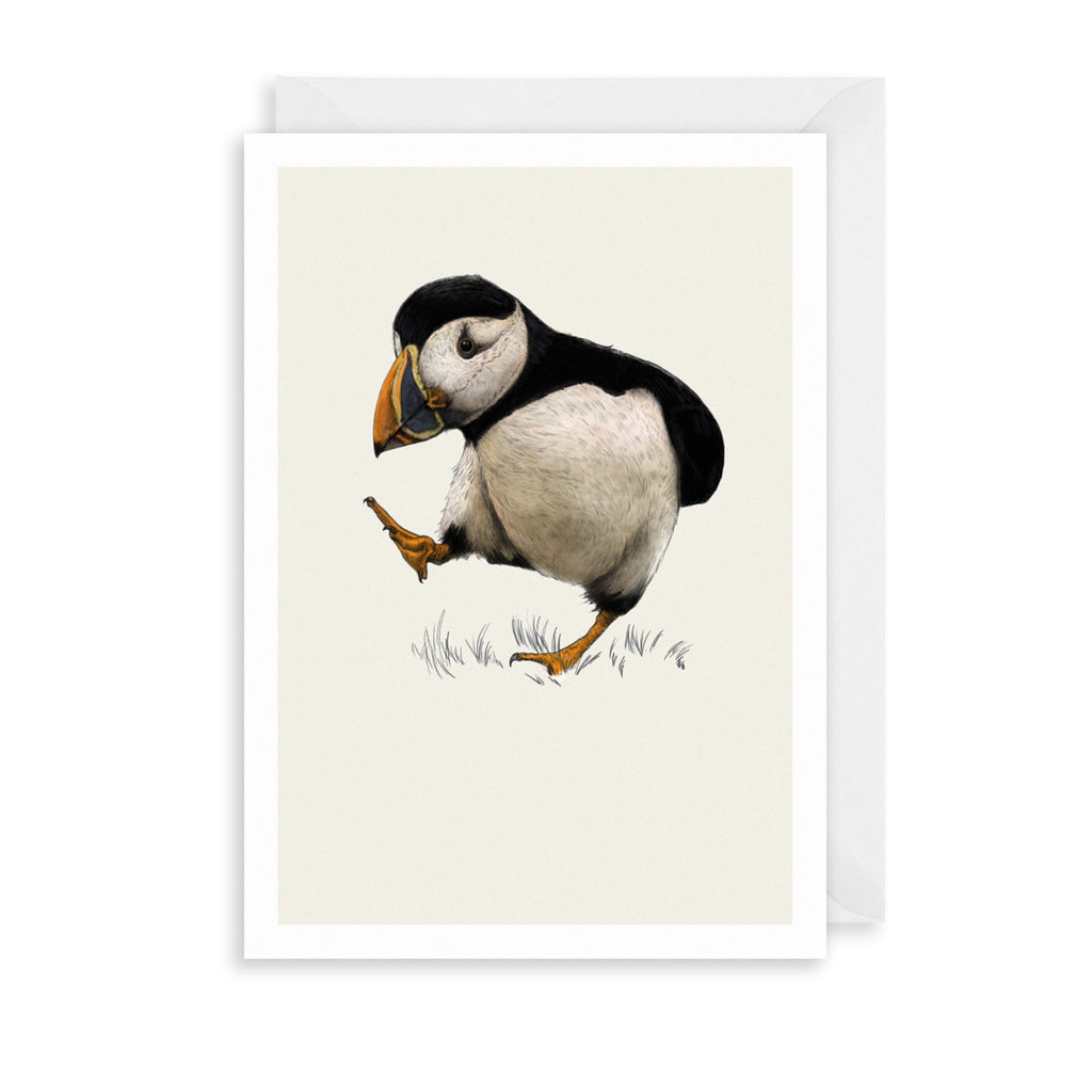 Puffin Greetings Card The Art File