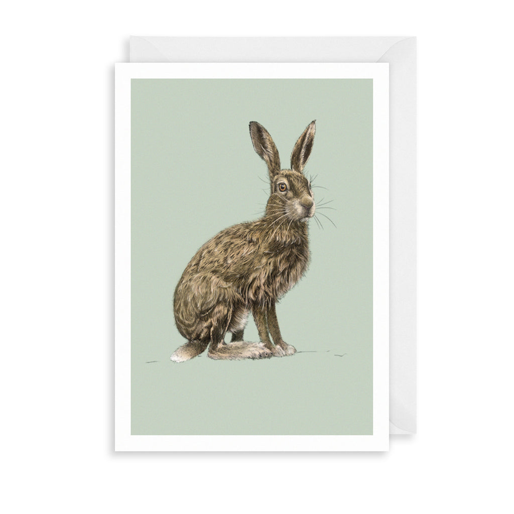 Brown Hare Greetings Card The Art File