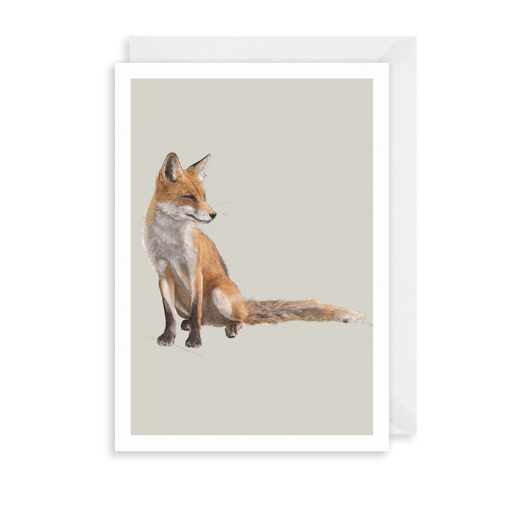Red Fox Greetings Card The Art File