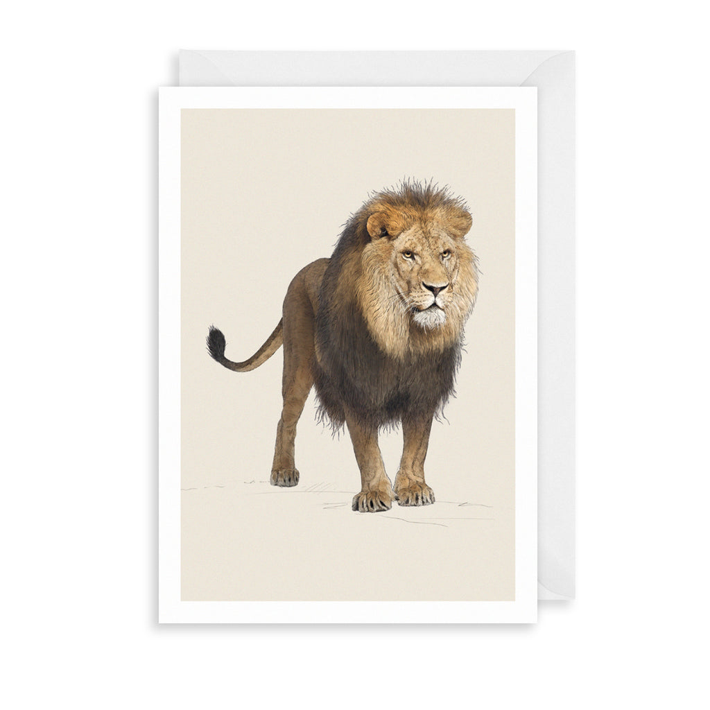 Male Lion Greetings Card The Art File